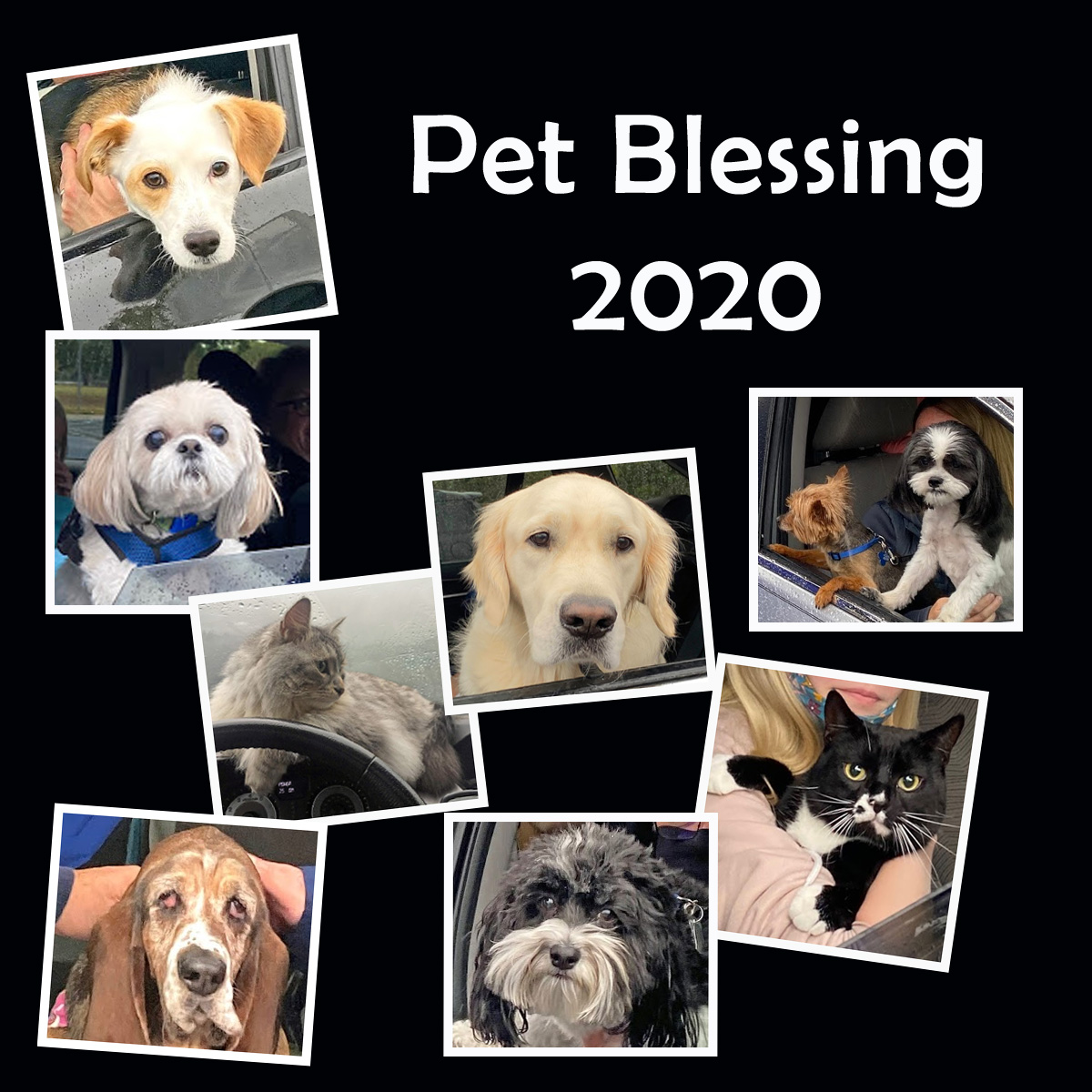 Pet Blessing 2020 Holy Family Episcopal Church